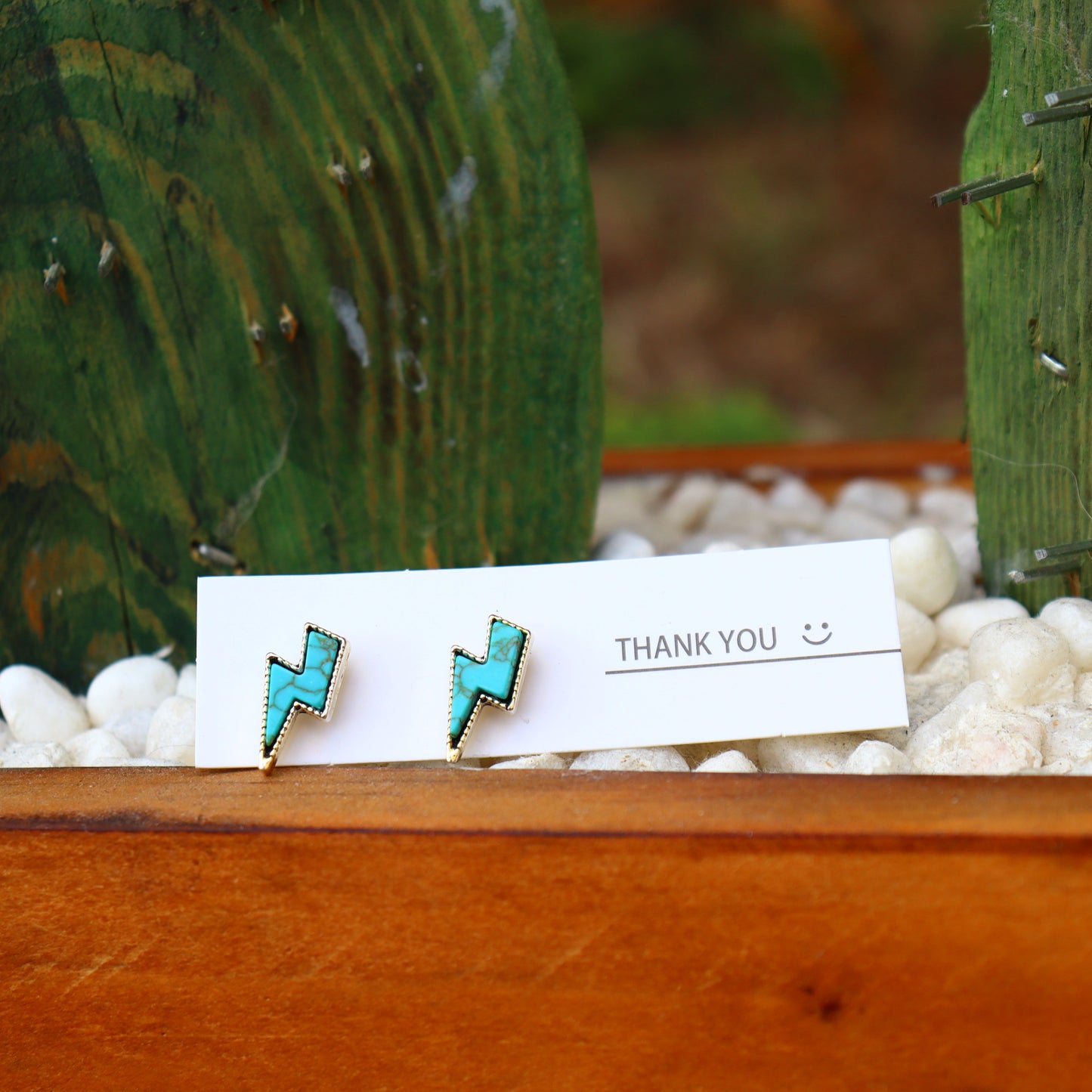 Earrings Collection
